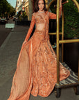 Orange Pre Draped Saree - orange saree