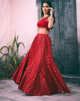 Red Silk Aztec Print Lehenga with Hand Embroidered Blouse - lehenga