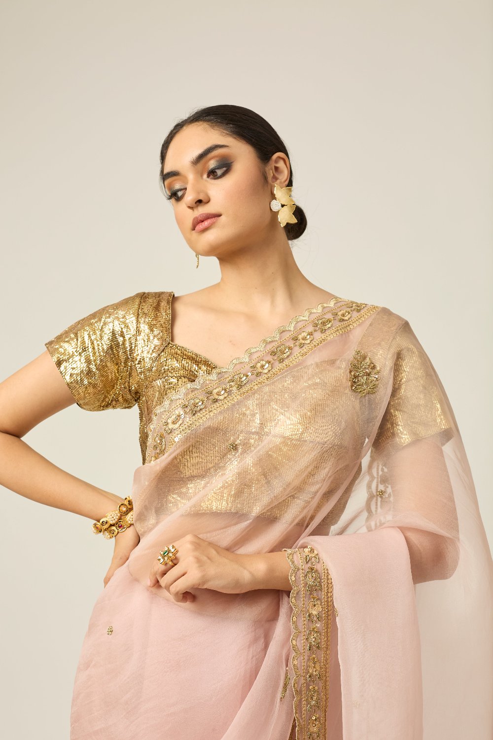 Mastani Silk Organza Saree - dress indian dress