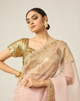 Mastani Silk Organza Saree - dress indian dress