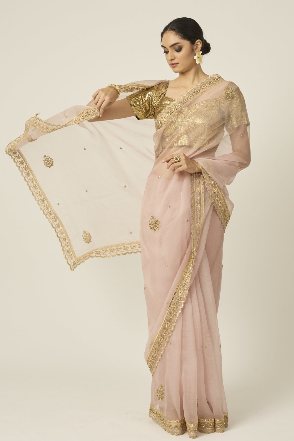 Mastani Silk Organza Saree - dress indian dress