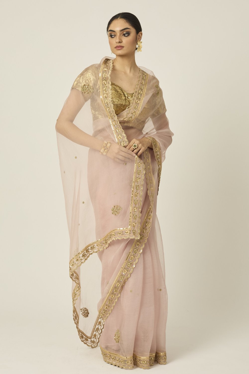 Mastani Silk Organza Saree - dress indian dress