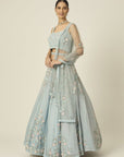 MISHTY Lehenga Set - lehenga dress