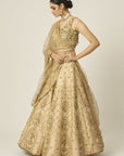 Riwayat Lehenga - indian lehenga