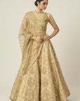 Riwayat Lehenga - indian lehenga