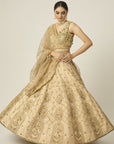 Riwayat Lehenga - indian lehenga