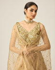 Riwayat Lehenga - indian lehenga