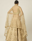 Riwayat Lehenga - indian lehenga