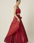 RED ANAMIKA Lehenga Set - lehenga choli