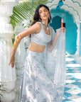 Grey Embroidered Set - grey lehenga Australia