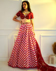 MYRAH Pink Chevron Lehenga - red lehenga Australia