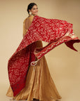 Golden Lehenga and Blouse with Maroon Dupatta - lehenga set Canada