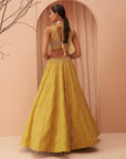 Blaze Lehenga Set - yellow lehenga USA