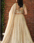 Beige Mukaish and Mirror Work Lehenga Set - mirror work lehenga Sydney