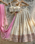 Beige Lucknowi Lehenga Set - beige lehenga USA