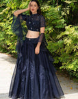Maheem Organza Lehenga - black lehenga Australia