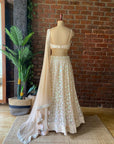Beige Sequin work Lehenga Set