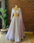 Periwinkle Sequin work Lehenga Set
