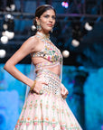 Crane Bridal Lehenga Set - bridal lehenga Canada