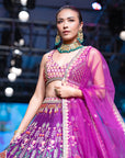 Flamingo Garden Lehenga Set - lehenga Canada