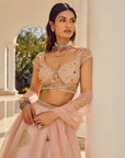 Blossom Lehenga Set