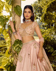 Blossom Lehenga Set