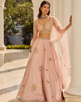 Blossom Lehenga Set