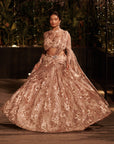 Bronze Affair Lehenga Set