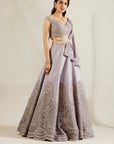 Charlotte Blue Jali Embellished Lehenga - lehenga New Zealand