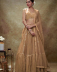 Fawn Mirror Work Sequin Lehenga Set