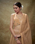 Fawn Mirror Work Sequin Lehenga Set
