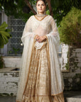 Champagne Embroidered Lehenga Set - embroidered lehenga Sydney