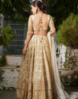 Champagne Embroidered Lehenga Set - embroidered lehenga Sydney