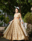Champagne Embroidered Lehenga Set - embroidered lehenga Sydney