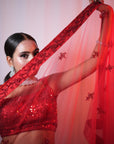 Red Net Embroidered Lehenga Set - lehenga red