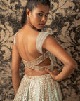 Mint Green Lehenga Set - lehenga