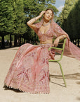 Mauve Lehenga Set