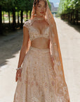 Rust Lehenga Set