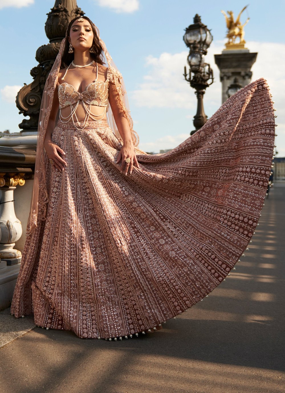 Brown Lehenga Set - embroidered lehenga