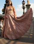 Brown Lehenga Set - embroidered lehenga
