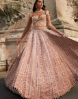 Brown Lehenga Set - embroidered lehenga
