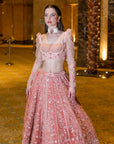 Peach Velvet Lehenga Set - embroidered lehenga