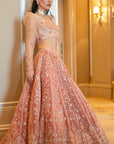 Peach Velvet Lehenga Set - embroidered lehenga