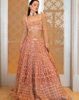 Peach Velvet Lehenga Set - embroidered lehenga
