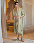 Olive Oleander Sherwani Set