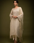 Ivory Beige Organza Kurta Set - kurti