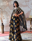 Georgette Lehenga and Banarasi Brocade Blouse Set - lehenga