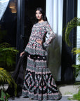 Mushru Gajji Silk Black Embroidered Sharara Set - designer wear for women