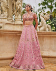 Flamingo Flounce Lehenga Set