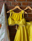 Yellow Lehenga Set with Hand Painted Dupatta - lehenga